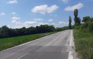 Cesta II/502 medzi Doľanmi a Dolnými Orešanmi pred rekonštrukciou – opotrebovaný kryt vozovky s priečnymi trhlinami